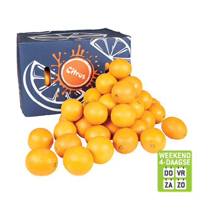 Perssinaasappelen